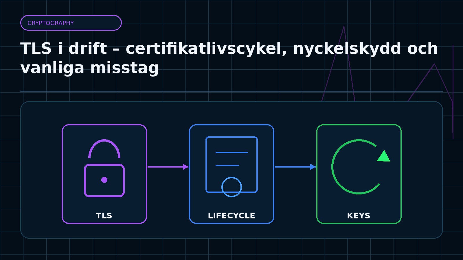 Ämnesspecifik teknisk illustration för artikeln TLS i drift – certifikatlivscykel, nyckelskydd och vanliga misstag